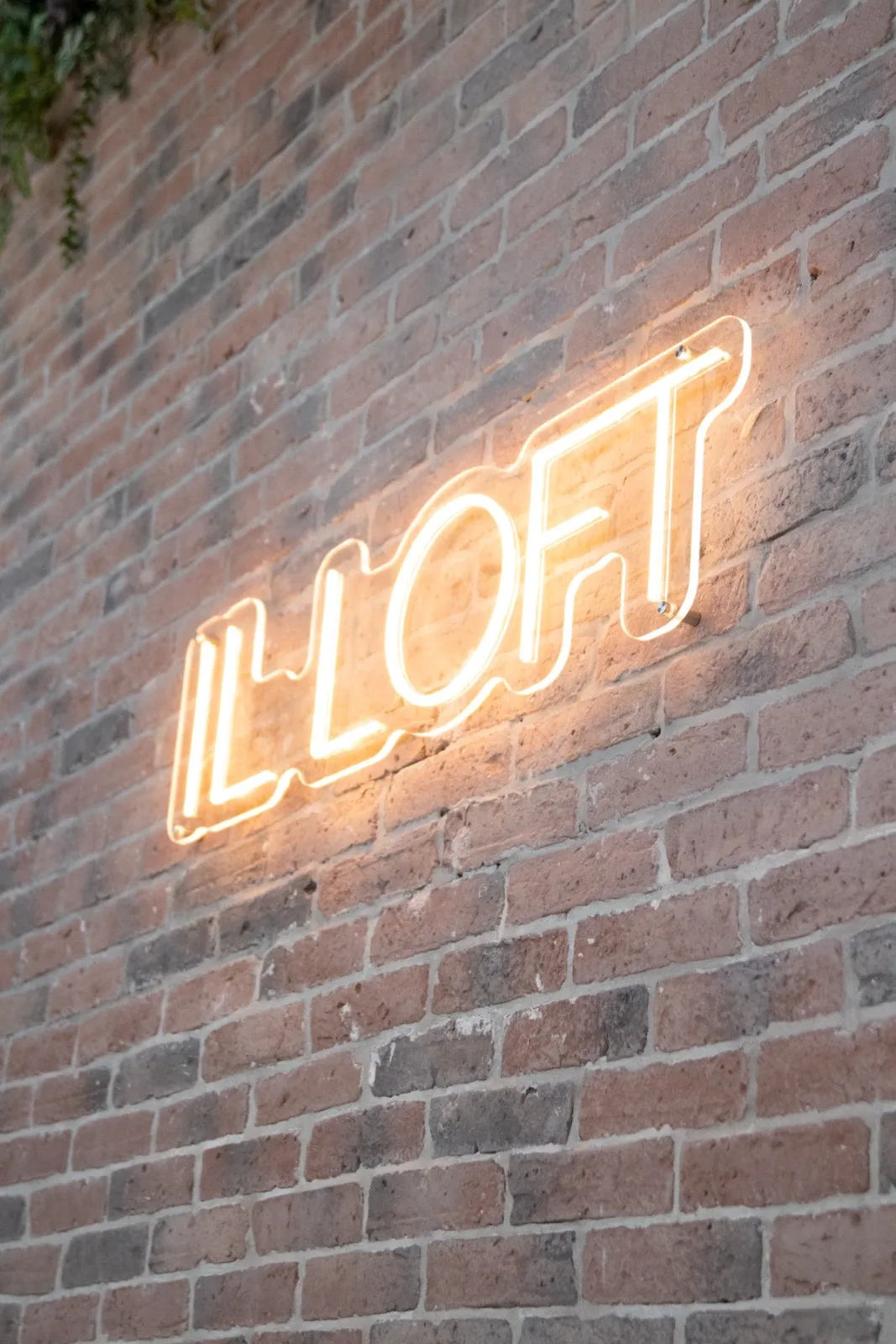 Insegna al neon IL LOFT su un muro di mattoni a vista, tra le foglie che scendono dall'alto.